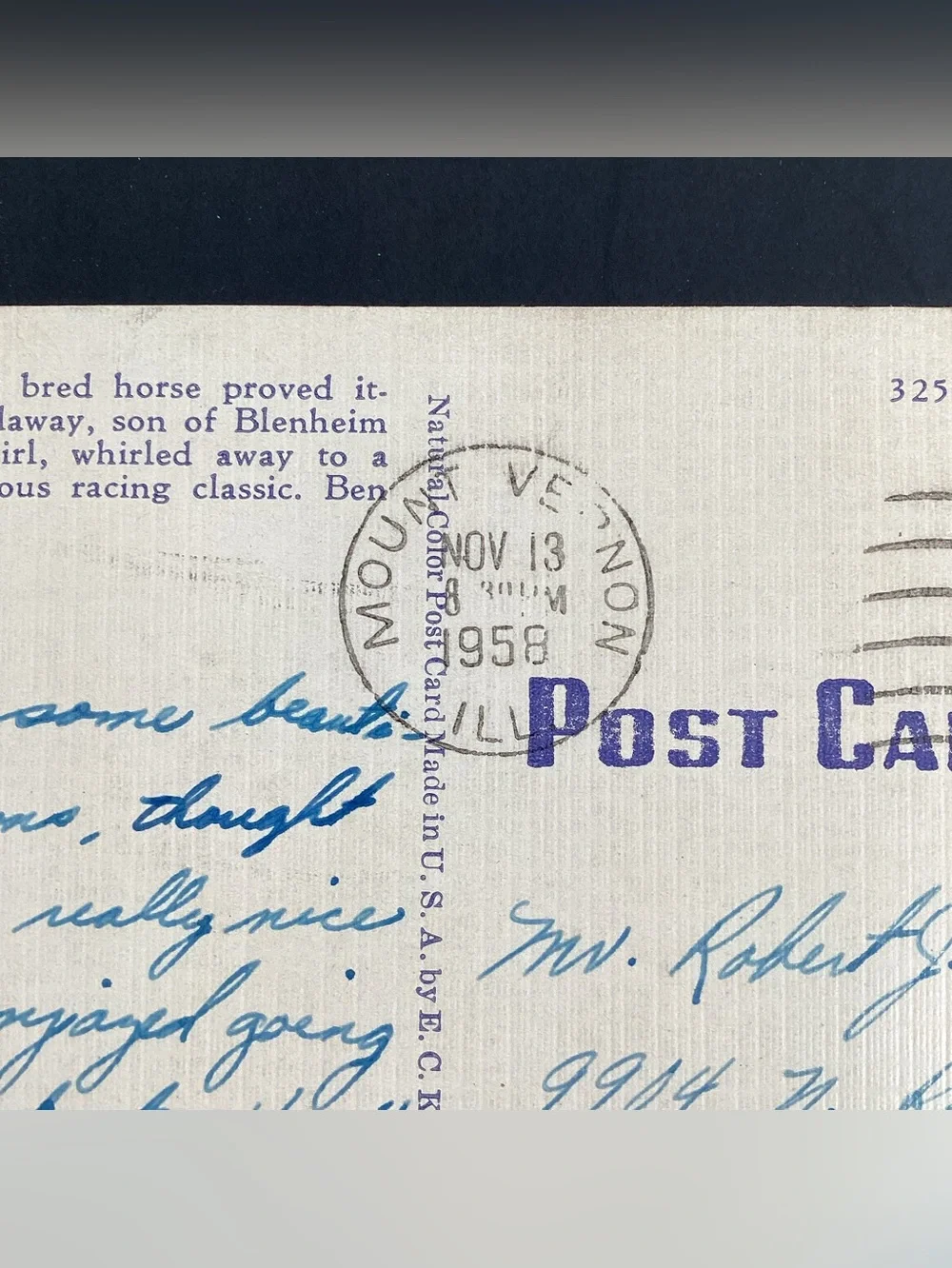 Kentucky Derby vintage postcard